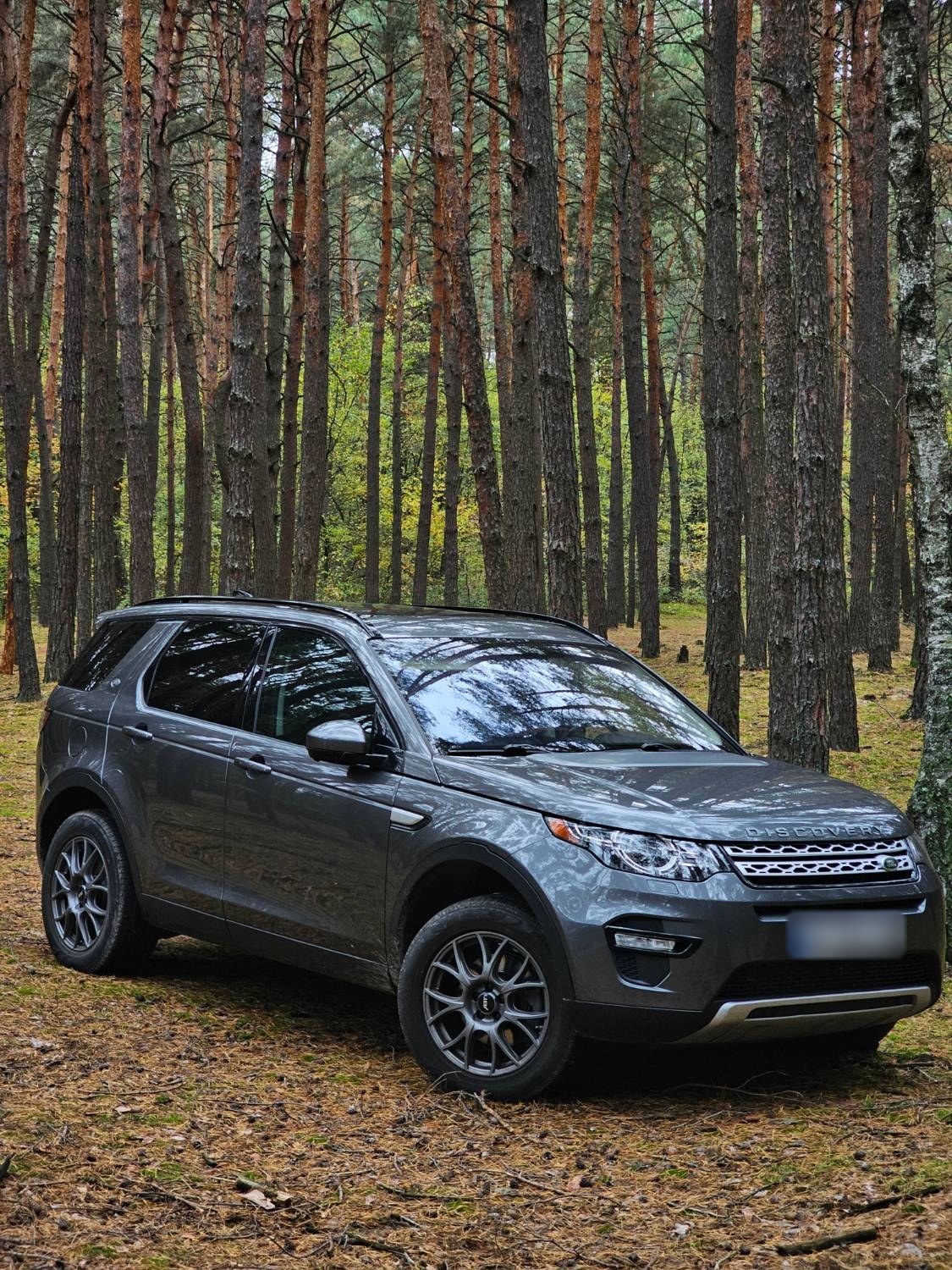Сірий Land Rover Discovery Sport учасника клубу серед сосен